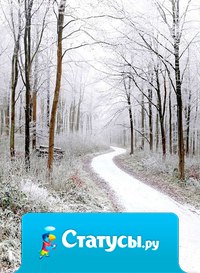 Я очень люблю, когда идёт снег, так больше чувствуешь домашний уют.