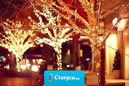 Я уже хочу зиму, идти по белому снегу, слушать любимую музыку и видеть эту всю новогоднюю суету.