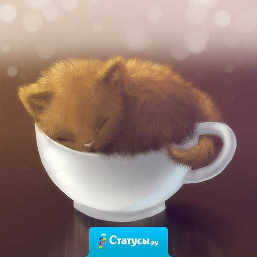 Самое трудное по утрам - это не уснуть после того, как выключишь будильник.