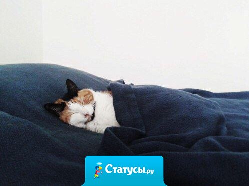 Пойду посплю. Так от меня вреда меньше.