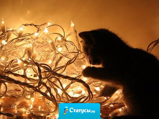 Пусть у каждого из нас, этой зимой случится что-то незабываемое.