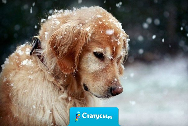 Необъяснимая штука - душа. Никто не знает, где находится, но все знают, как болит.