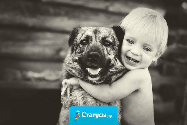 Раньше дефицитом считалась черная икра и импортные джинсы. Сегодня же в дефиците искренность, порядочность, доброта.