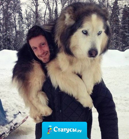 Когда ты уже выросла, но все равно хочешь к папе на ручки.