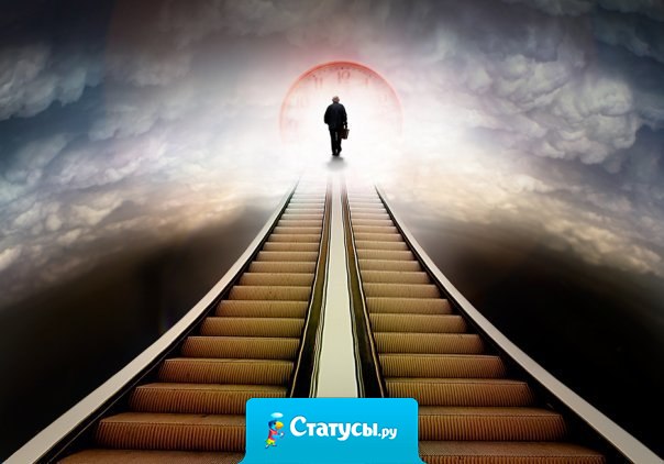 Мудрого человека невозможно оскорбить, потому что на правду обижаться нельзя, а неправда не стоит внимания.