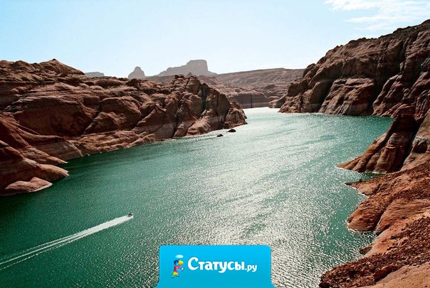 Плохо живут те, которые всю жизнь лишь собираются жить.