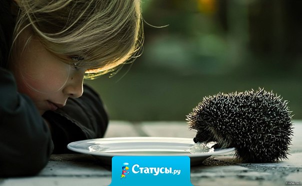 Никогда не надо пренебрегать маленькими величинами, потому что через них мы приходим к большим.