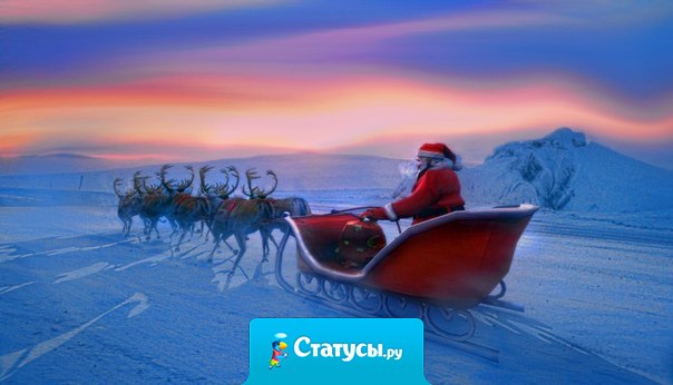 Хорошо быть в дороге, которую ты сам себе выбираешь.