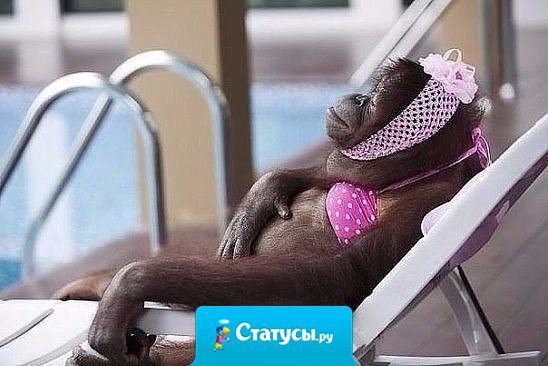 Губит людей не пиво и не водка! Губит людей 12-часовой рабочий день, мизерная зарплата, кредиты, ипотеки, долги и вечный недосып!