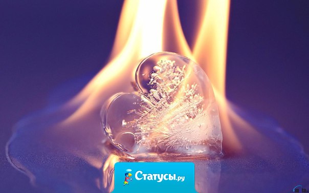 Знаете почему вам встречаются люди, похожие на льдинки и колючки? А потому Господь направляет их к вам, что видит в вас достаточно тепла, которым вы сможете их отогреть.