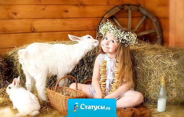 Пускай всегда - и вечером и утром, Вам будет радостно, душевно и уютно...