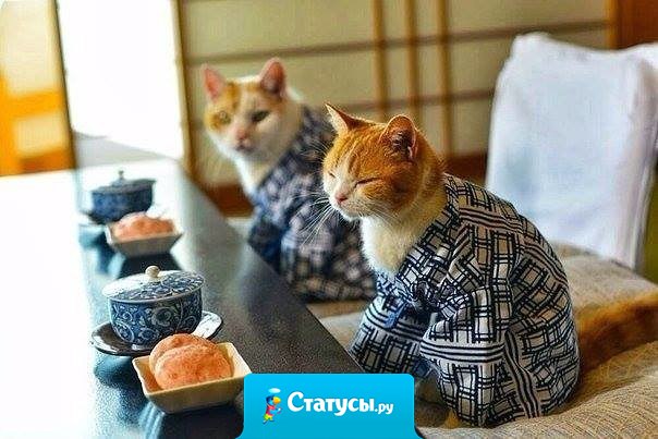 Жить надо по-японски: не торописса, не волновасса и улыбасса.