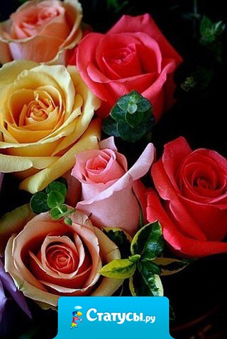 Слишком вредная привычка— Вспоминать того, кто предал.. Не сложилось?.. И отлично – Значит, он твоим и не был..