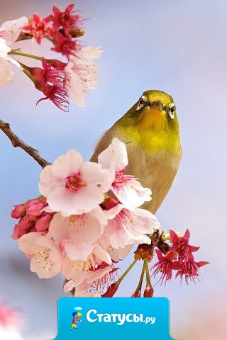 Будущее начинается сегодня. Это дар, который вручают нам каждое утро.