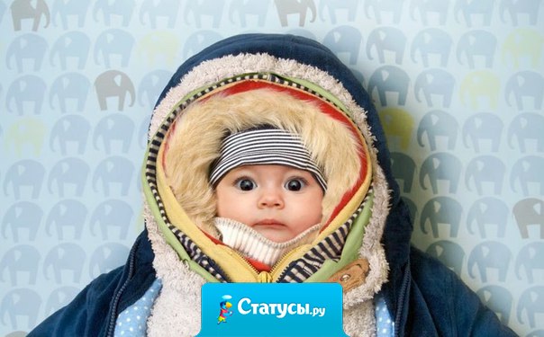 - Вот я зимой родился. Объясните, откуда я взялся? Аисты не летают, капуста не растёт... Снеговики слепили, что ли?