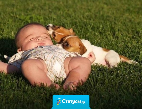 - Чем занимаешься ?  - Занимаюсь общественно полезным трудом.  - Каким?  -Лежу и никому не мешаю.