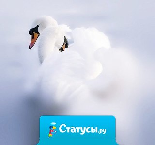 Прекрасное не требует доказательств.