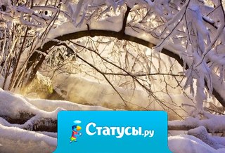 Снег — это кокосовая стружка, а Земля - большая Рафаэлка.