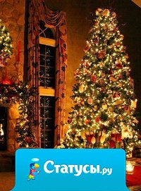 Чудеса происходят каждый миг. Ничего другого и не происходит.