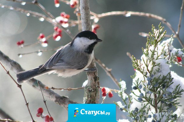 Счастье – это состояние души. Жизнь прекрасна, если мы сами делаем ее таковой.