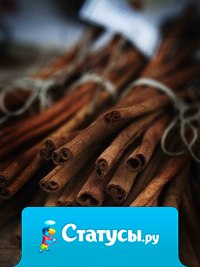 Нет лучшего антидепрессанта, чем хорошая музыка, чашка чего-нибудь горячего и люди, которым не всё равно, что у тебя на душе.