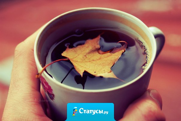 Время утепляться тёплыми свитерами, горячим чаем и добротой.