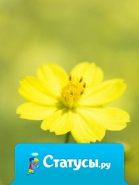 На многое ответа я не знаю, - на всё есть лишь у Господа ответ. Но лишь одно я твёрдо понимаю, - что лучше добрых слов лекарства нет!