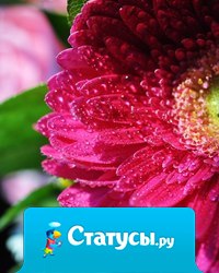 По своей воле вы оказались в мире, который создали для себя сами. Что держите в сердце своем, то и исполнится, чем больше всего восхищаетесь, тем и станете. 