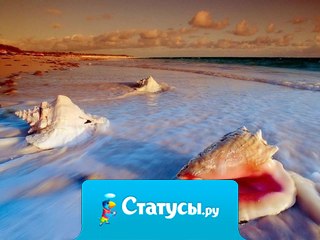 Один закат не похож на другой, краски неба не бывают одинаковыми.