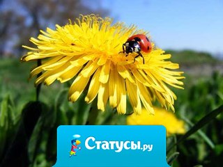 Надо быть счастливым сегодня, сейчас, несмотря ни на что.