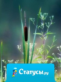 Как это важно — не потерять способности удивляться! Умения заинтересовано вглядываться в мир и находить восхитительное в самых простых, на первый взгляд, вещах....