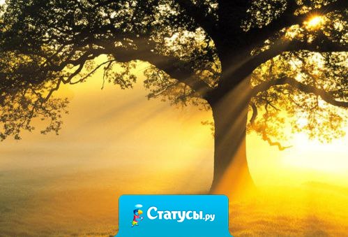 Мечты сбываются – в противном случае природа не наделила бы нас способностью мечтать..