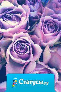 Девушка как роза, смотришь на неё она такая красивая, а берёшь в руки она так колется