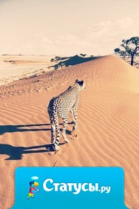 Сворачивая горы, постарайся не оставить за собой пустыню.