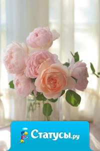 Не позволяй своим страхам убивать твои мечты.