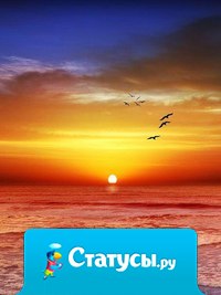 Неважно, какая погода за окном. Важно, чтобы хорошая погода была у вас внутри.