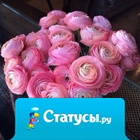 Цветы - это магия, которую мужчинам не понять, ей просто нужно пользоваться.