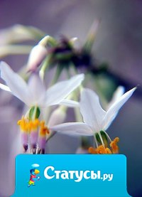 Мир ярких красок и коллекция красивых фото-подборок в сообществе 