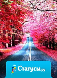 Жизнь тем и интересна, что в ней сны могут стать явью.