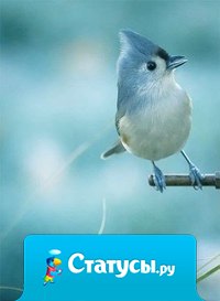 Чем дальше мы идем не в ту сторону,тем дороже стоит обратная дорога.