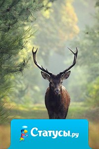 Если по-настоящему захотеть, мир в одно мгновение может изменить цвет.