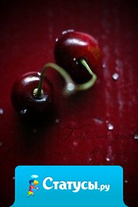 Жизнь нужно устраивать до тех пор, пока она не начнет полностью устраивать тебя!