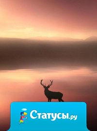 Не грустите! Жизнь любит нагнетать мрак для того, чтобы потом ярче блеснуть своей светлой стороной!