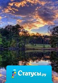 Вы пересекаете весь мир в поисках счастья, а оно всегда рядом, на расстоянии вытянутой руки... 