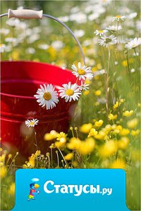 Свеча становится самой красивой только тогда, когда излучает свет. Тоже самое можно сказать и про человека.