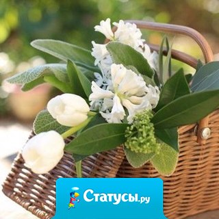 Тишина благоприятна для того, чтобы слушать самого себя.