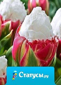 Никогда не сожалейте о том, что сделали, если в этот момент вы были счастливы.