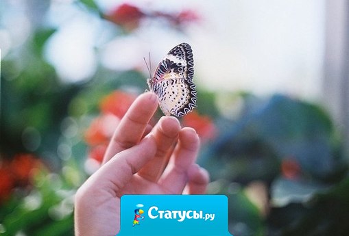 Мир необъятен. Мы никогда не разгадаем его тайну. Поэтому мы должны принимать его таким, какой он есть — чудесной загадкой...