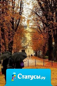 Иногда чудеса бывают такими крошечными, что люди их просто не замечают.