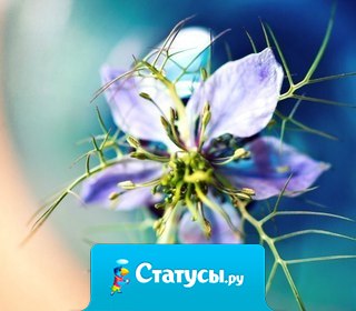 Самое главное - это желание жить. Радоваться солнечному лучу, полевому цветку, воробью, чирикающему на ветке... Дар умения быть счастливым в детстве есть почти у всех, но лишь немногие могут сохранить его на всю жизнь...